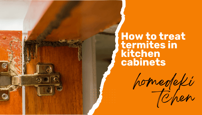 11 Best Ways | How to Treat Termites In Kitchen Cabinets